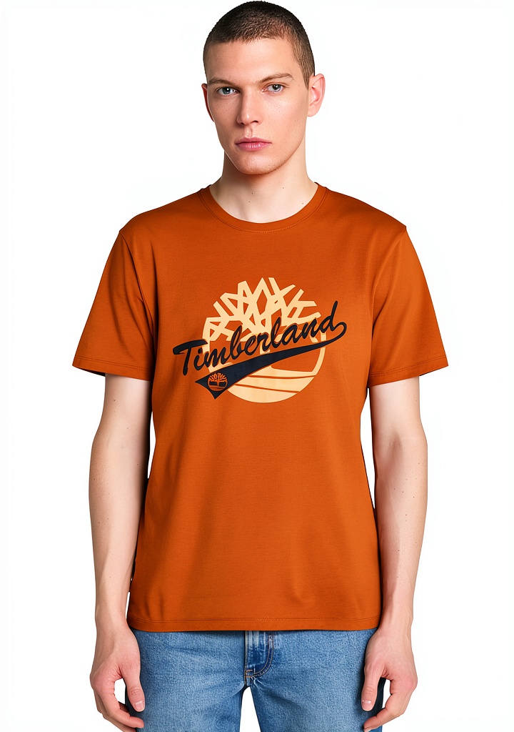 Timberland mens t-shirt in Leather Brown color on a man outdoors